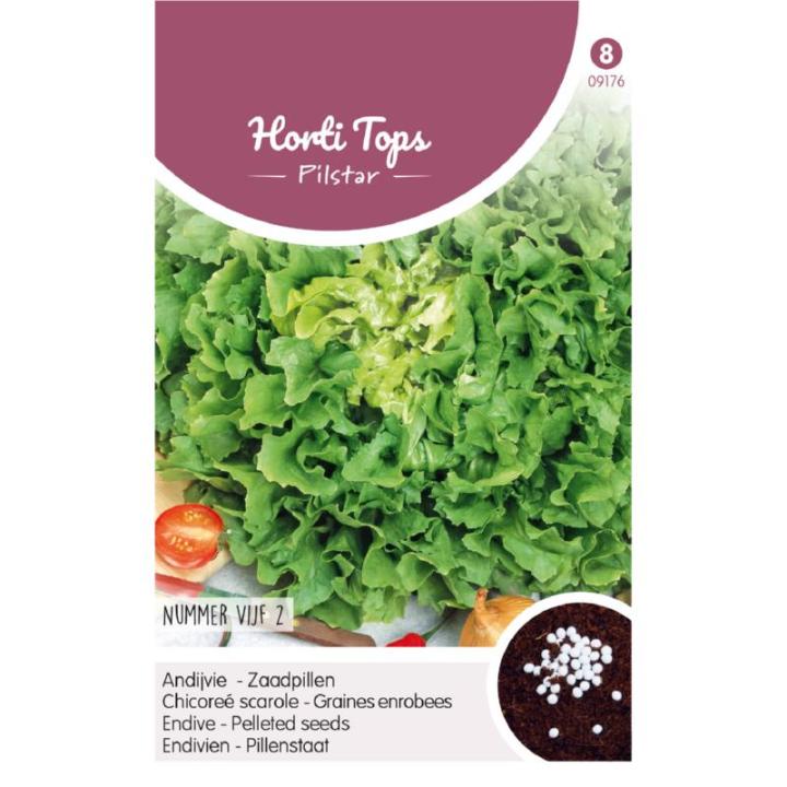 Horti tops pilstar - Andijvie nummer Vijf 2