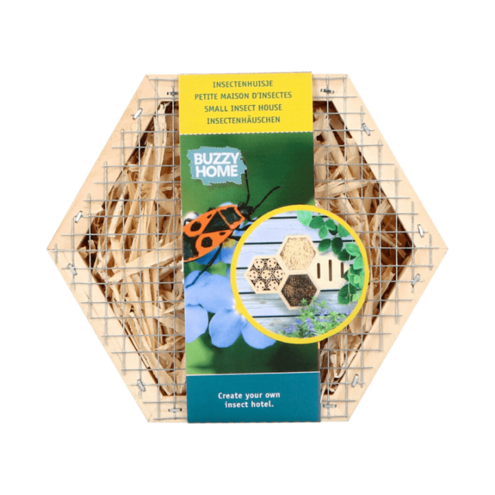 Bûten Home Insectenkast Hexagon voor Insecten - 13x15x6cm
