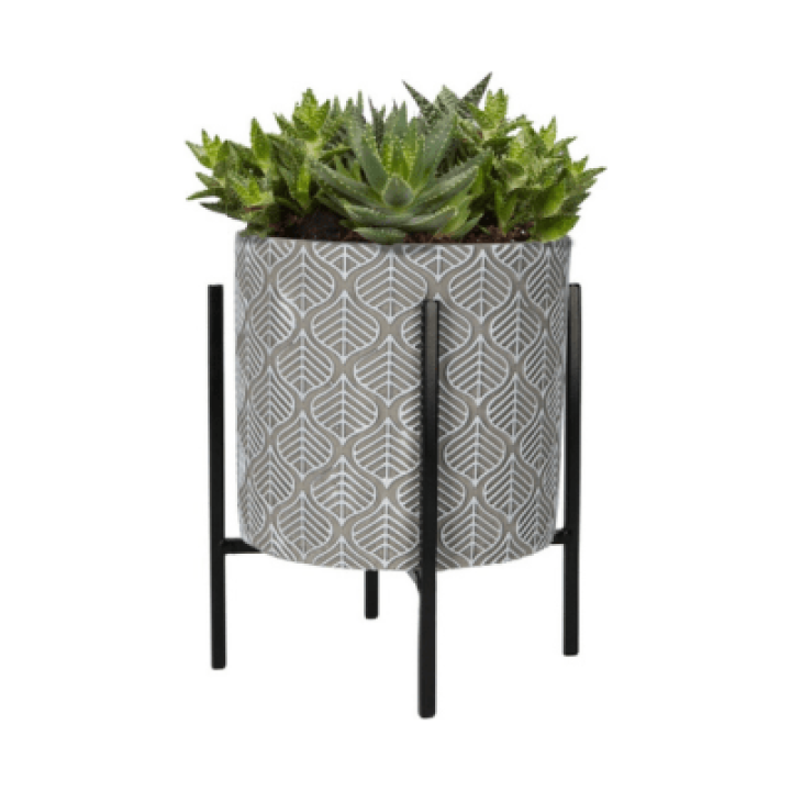 Buzzy® House Plants Plantpot in standaard met Aloe Vera zaden