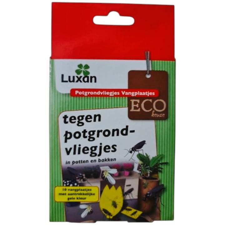 Luxan Potgrondvliegjes Vangplaatjes - 10 stuks