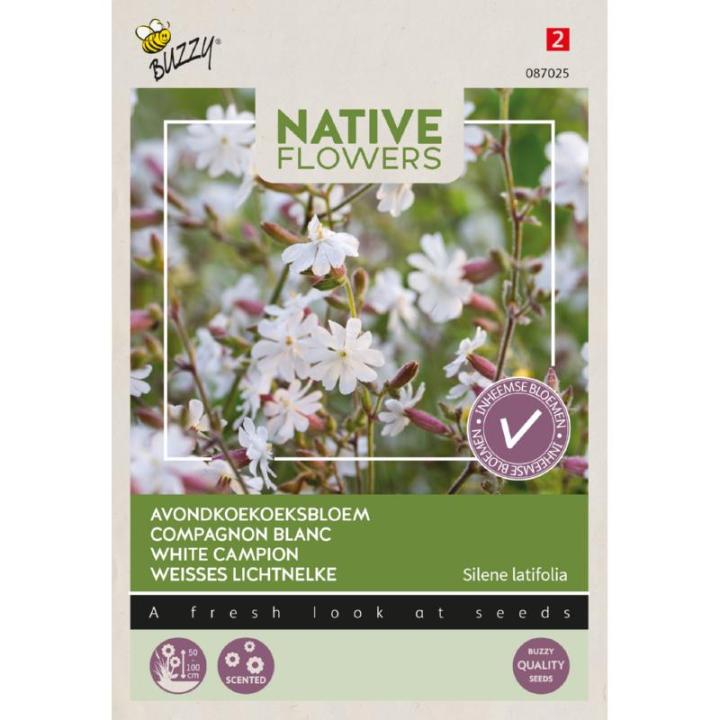 Buzzy® Native Flowers, Avondkoekoeksbloem
