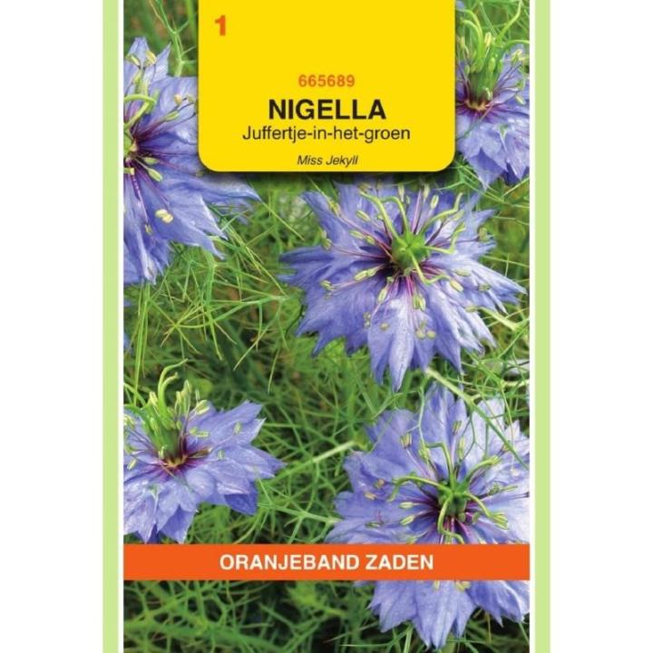 Oranjeband Nigella, Juffertje-in-het-groen Miss Jekyll