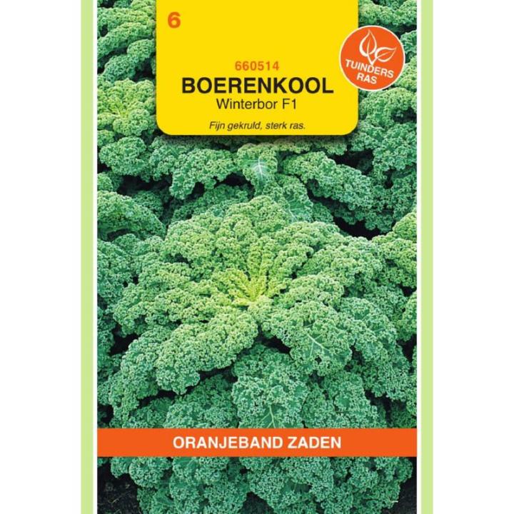 Oranjeband Boerenkool Reflex F1 (wordt Winterbor F1)