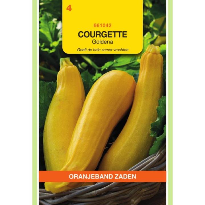 Oranjeband Courgette Goldena