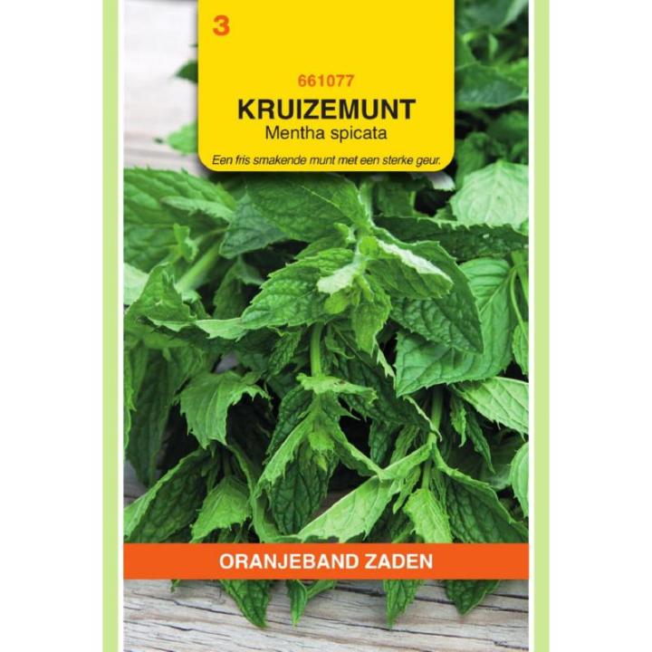 Oranjeband Kruizemunt