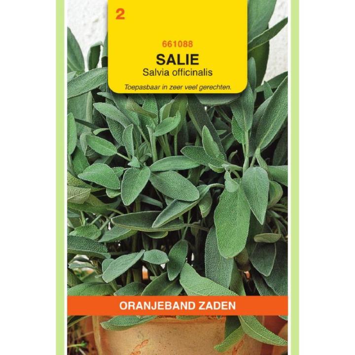Oranjeband Salie