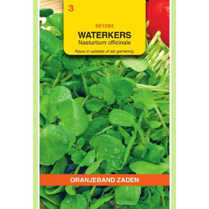 Oranjeband Waterkers Groodbladige