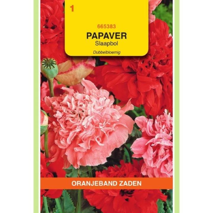 Oranjeband Papaver, Slaapbol dubbelbloemig gemengd