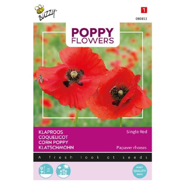 Buzzy® Poppy Flowers Klaproos Rhoeas Rood