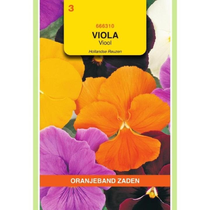 Oranjeband Viola, Viool Hollandse Reuzen gemengd