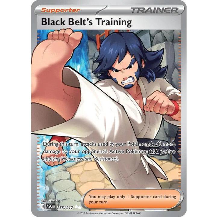 Black Belt's Training 255/217 - Ascended Heroes - Holofoil