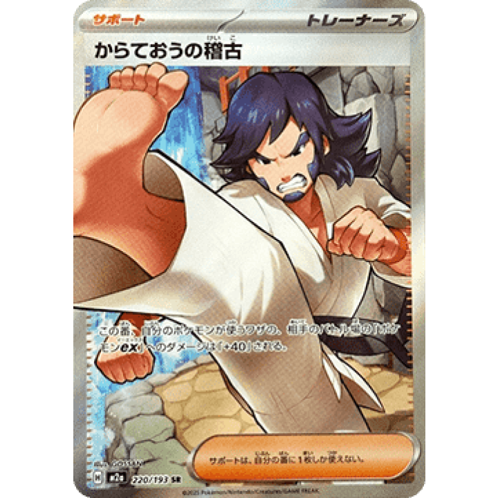 Black Belt's Training (JP) 220/193 - MEGA Dream ex - Holofoil