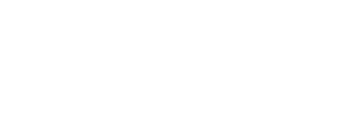 Soellaart Logo