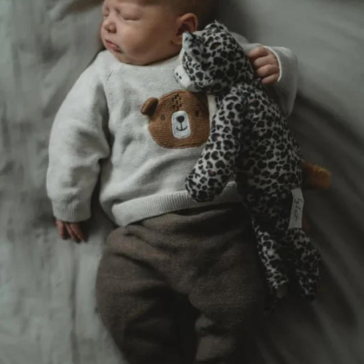 Knuffel bylout als image bij kraamcadeaus