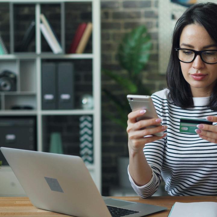 E-commerce meest ingeburgerd in Nederland